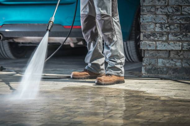 Best Dumpster Area Cleaning  in Kankakee, IL