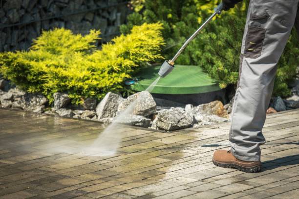 Best Winterizing Services  in Kankakee, IL