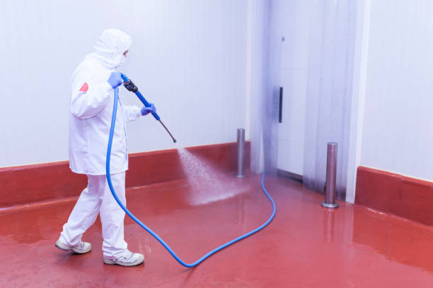 Best Spring Cleaning  in Kankakee, IL