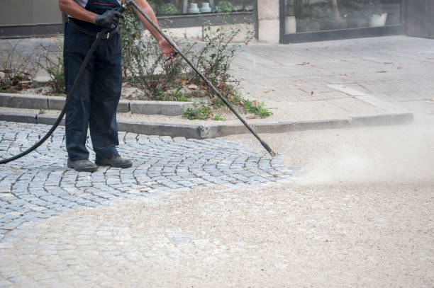 Best House Exterior Washing  in Kankakee, IL